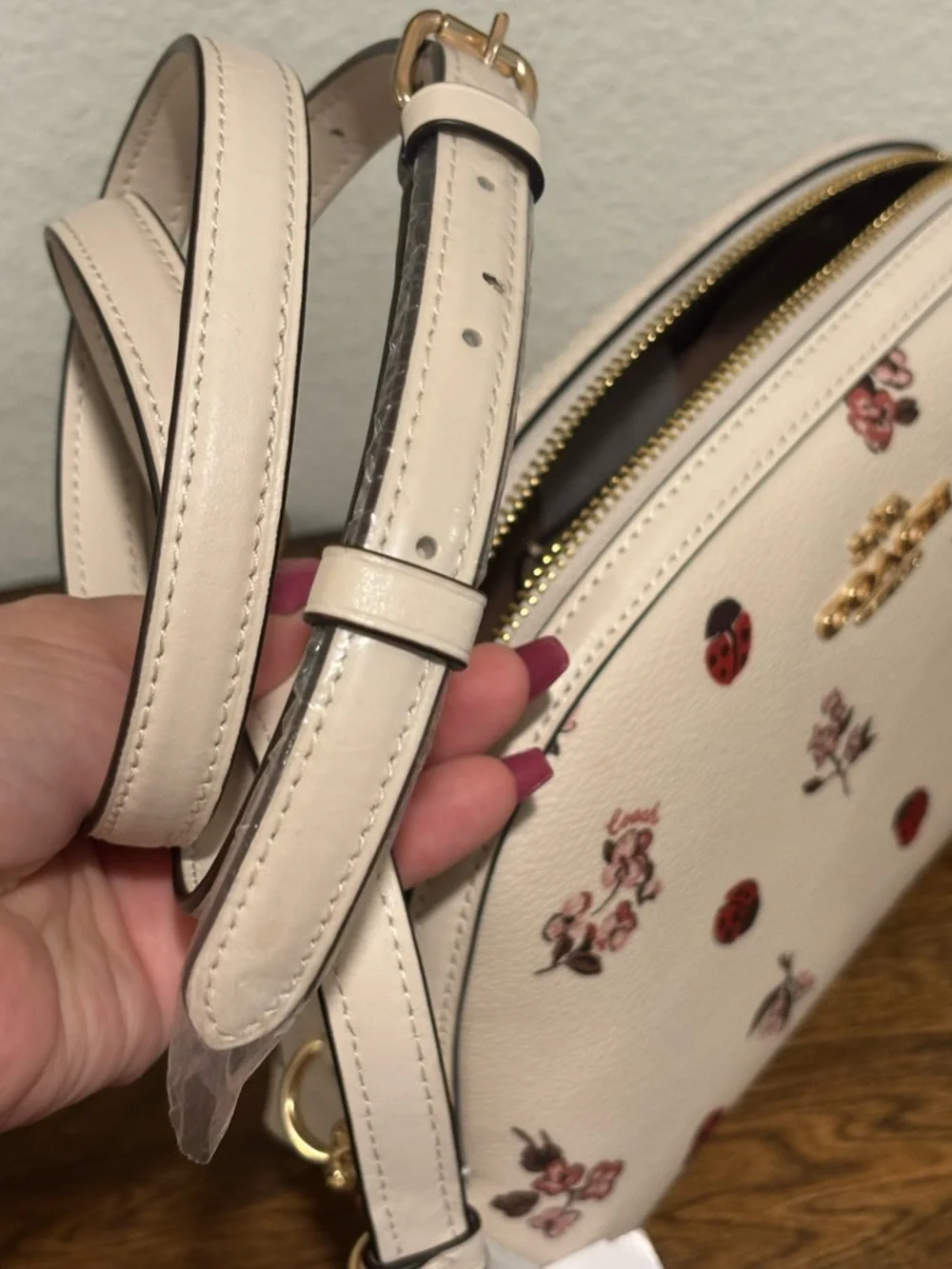 Coach Floral & Ladybug Print Crossbody Bag - Cream, Red, Pink - Picture 11 of 15